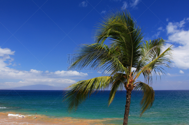 毛伊岛,棕榈树,海滩,夏威夷,风景,太平洋,基黑,卡阿纳帕利沙滩,偏振光,避暑圣地