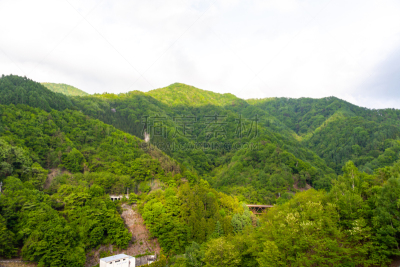 日本,长野县,婚姻,非都市风光,地形,户外,秋天,金色,绿色,蓝色