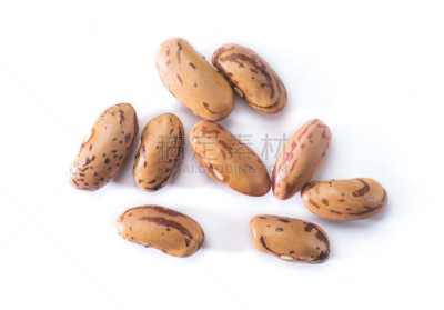 菜豆,红花菜豆,水平画幅,小的,无人,有机食品,生食,健康保健,豆科植物,特写