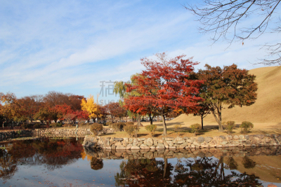 庆州市,坟墓,公园,秋天,风景,枫树,水,天空,美,水平画幅