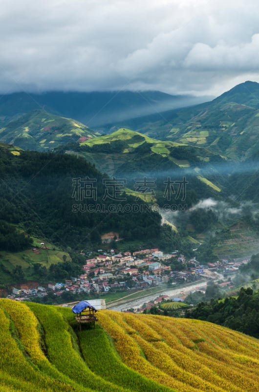 田地,越南,稻,梯田,居住区,mud pot,西北,查济,拉茶,垂直画幅