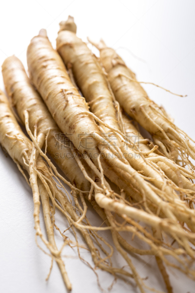 ginseng,人参,垂直画幅,饮食,胡萝卜,根部,无人,白色背景,特写,草药