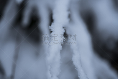 雪,自然,寒冷,美国,水平画幅,无人,户外,草,北美