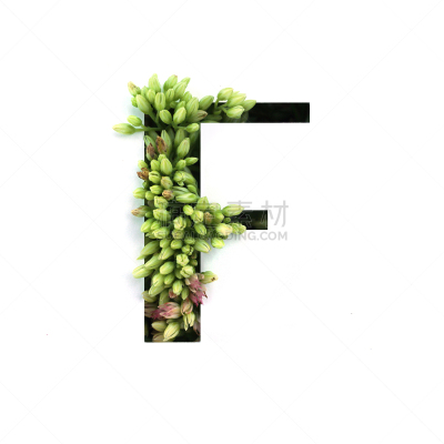 背景分离,字母,植物,英文字母f,部分,农业,华丽的,自然界的状态,簇叶从生的,环境