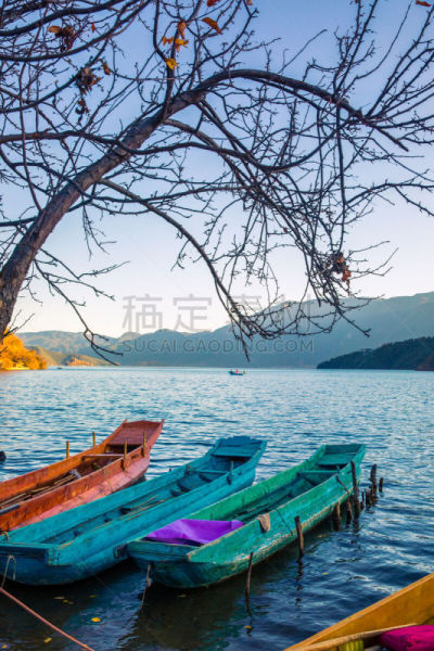 湖,停泊的,船,泸沽湖,云南省,自然,垂直画幅,水,宁静,码头