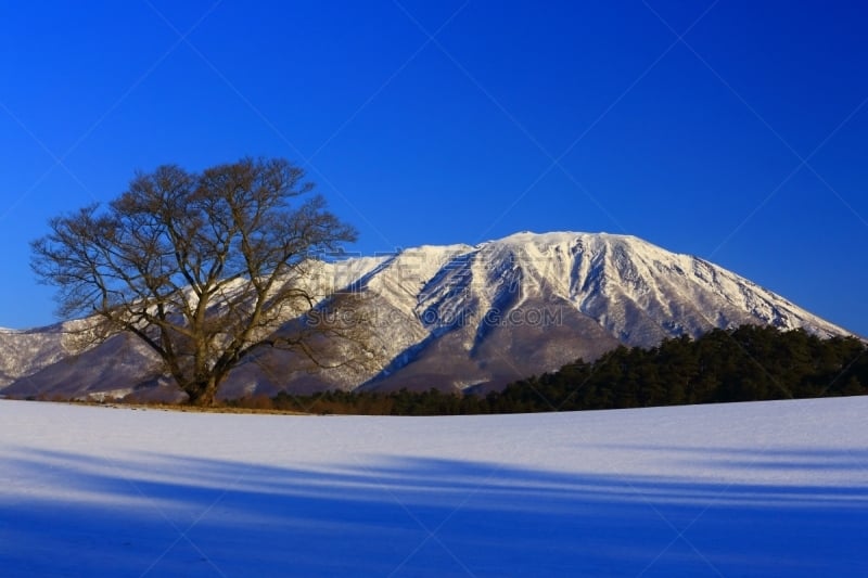 樱桃树,冬天,岩手县,山,一只动物,寒冷,旅途,雪山,雪,自然美