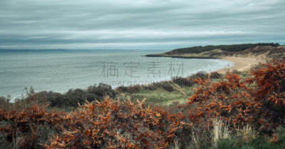 橙色,苏格兰东南部的一个港口,苏格兰,嘉龄,海滩,海景,背景,沙棘,环境,英国