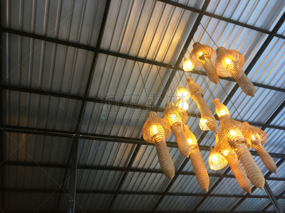 天花板,屋顶,照明设备,式样,室内,在下面,灯,嵌入式普通灯具,台灯,尾灯