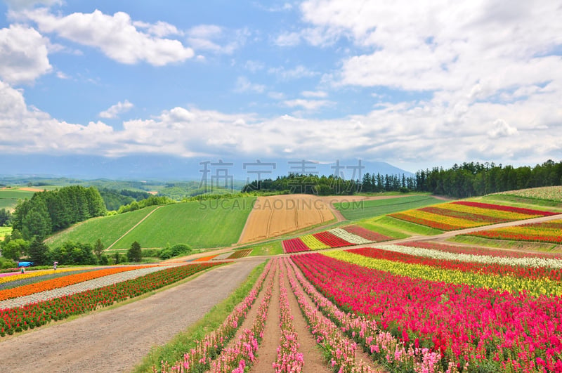 山,田地,自然美,天空,美,水平画幅,云,无人,夏天,户外