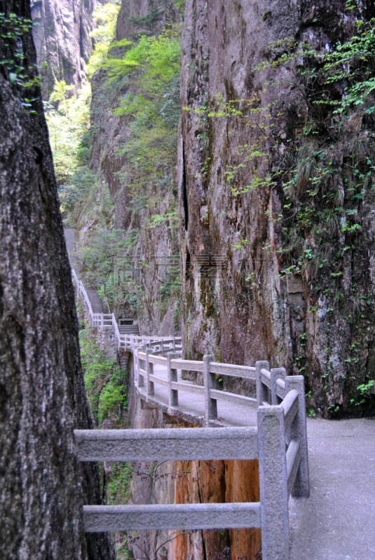 黄山山脉,中国,陡峭,安徽省,永远,松科,松树,垂直画幅,天空,地形