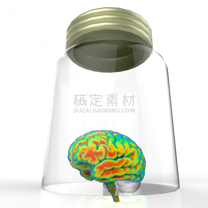 三维图形,广口瓶,人脑,福尔马林,盐渍食品,智慧,人,科学,生物学,方形画幅