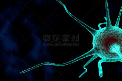三维图形,神经元,神经系统,水平画幅,形状,绘画插图,科学,神经轴突,生物学