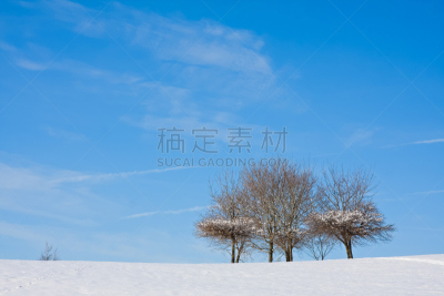 冬季仙境,齐亚戈干酪,天空,水平画幅,雪,无人,户外,秃树,植物,彩色图片