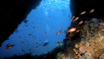 尖峰,黑条红鳂,松鼠鱼,多米尼克,洞室,休闲活动,水平画幅,水肺潜水,透过窗户往外看,水下