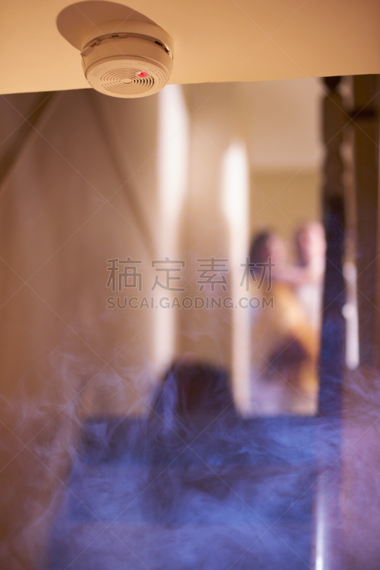 烟雾检测器,一氧化碳检测器,火警,火,安全的,家庭保险,闹钟,警告标志,2016,垂直画幅
