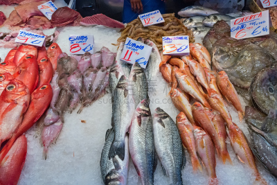 海产,市场,鱼肉,鲑,水平画幅,银色,无人,软体动物,海鲷,生食