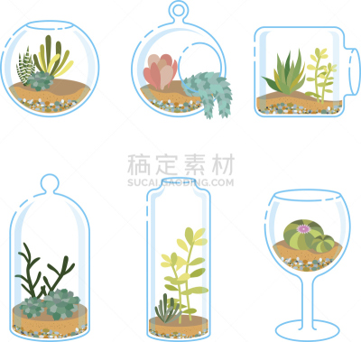 仙人掌,平坦的,肉质植物,反差,生物学,可爱的,部分,清新,一个物体,玻璃杯