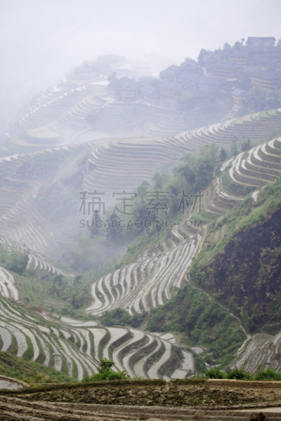 瑶族,乡村,云景,龙脊梯田,龙胜,桂林,垂直画幅,无人,东亚,户外