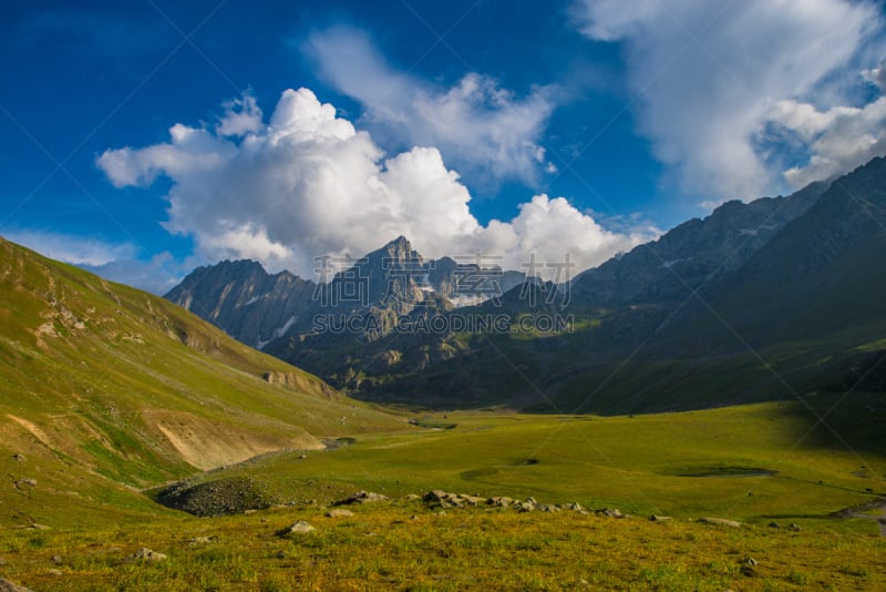 草地,印度河,查谟和克什米尔,水平画幅,山,雪,无人,喜马拉雅山脉,夏天,户外