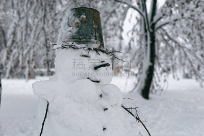 雪人,水,暴风雨,雪,棍,白色,毛绒绒,冬天,童话故事,百叶帘