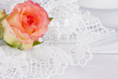 玫瑰,白色,丝绸,花边,个人随身用品,吊袜带,新的,水平画幅,纺织品,符号