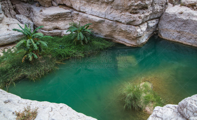 阿曼,河床,水,提威族,大马斯喀特,玫瑰香葡萄,翡翠绿宝石,水平画幅,无人,夏天