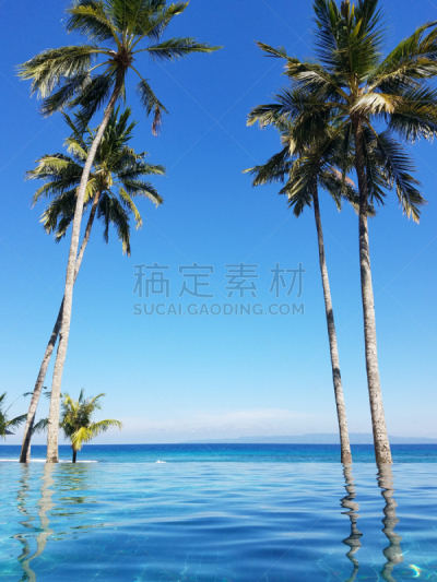 印度尼西亚,巴厘岛,无边际泳池,湿,热,运动,热带气候,椰子,印度洋,绿松石色