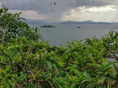 基伍湖,非洲,卢旺达,水,天空,美,水平画幅,旅行者,夏天,户外