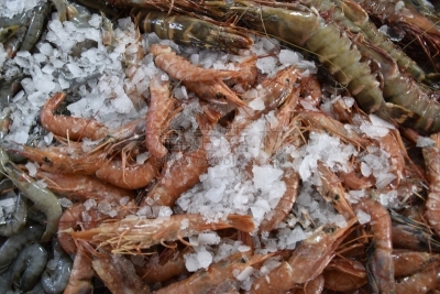 螃蟹,泰国,虾,市场,龙虾,清新,螯虾,食品,大螯虾,动物