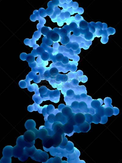 脱氧核糖核酸,人,生物学,微生物学,比利时,健康保健,化学,转基因,药,生物科技