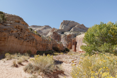 风景,犹他,路,莫斯特,一只动物,地球,万岩柱,沙岩,escalante,沙漠