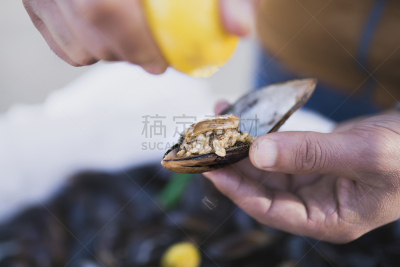 贻贝,塞满了的,希腊食物,水平画幅,开胃品,生食,膳食,海产,加州贻贝,柠檬