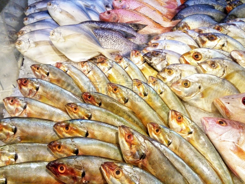 海产,格子烤肉,寿司,清新,渔业,食品,煎锅,餐巾,对虾,明虾
