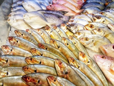 海产,格子烤肉,寿司,清新,渔业,食品,煎锅,餐巾,对虾,明虾