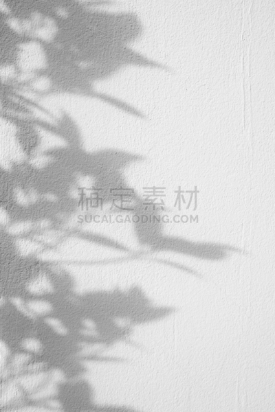 阴影,白色,叶子,混凝土,粗糙的,垂直画幅,美,艺术,形状,枝繁叶茂