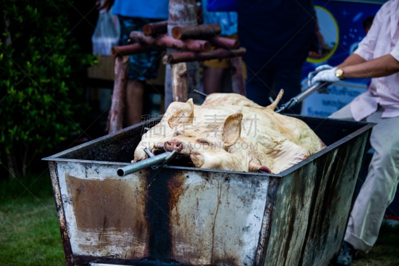 烤乳猪,格子烤肉,热,烤的,食品,泰国,烤肉架,烤肉餐,传统节日,猪