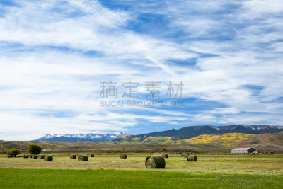 农场,田地,干草卷,绿色,三柱门横木,干草,紫花苜蓿,农业,云,橙色
