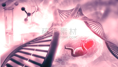 脱氧核糖核酸,动物胎儿,生物学,3d扫描,超声波,健康保健,生物化学,医学检测,药,父母