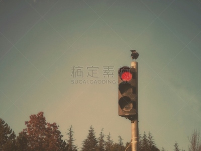 红灯,自然,红色,照明设备,交通,环境,交通堵塞,图像,交通标志,停止标志