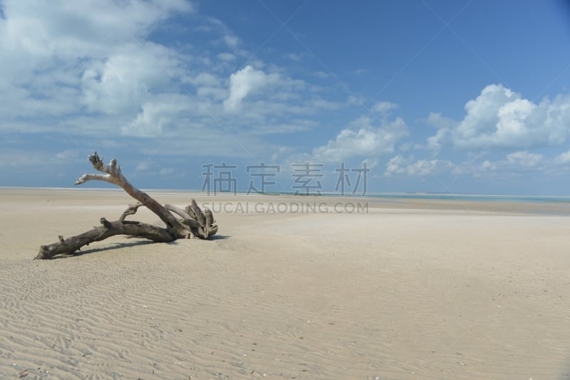 浮木,岛,白沙国家纪念馆,风景,巴扎鲁托,莫桑比克,天空,群岛,水平画幅,沙子