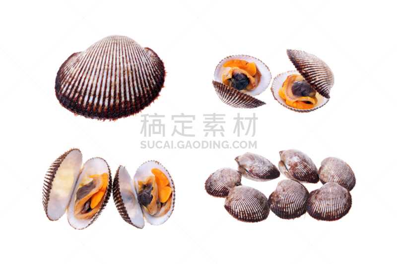 毛蛤,水平画幅,无人,配方,生食,膳食,海产,海洋,影棚拍摄,餐馆
