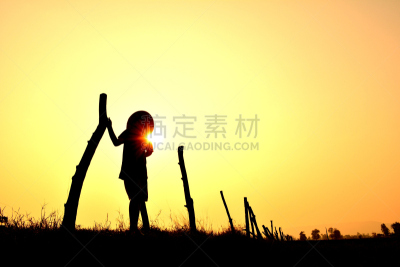 儿童,天空,农民,修面树,木棉树,自然,在下面,草地,水平画幅,乡村