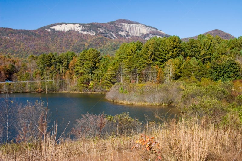 州立公园,岩石,四只动物,桌子,品尼高山,南卡罗来那,水,松树,水平画幅,秋天