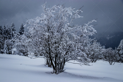 雪,寂寞,水平画幅,山,银色,无人,孚日省,白色,勃朗峰