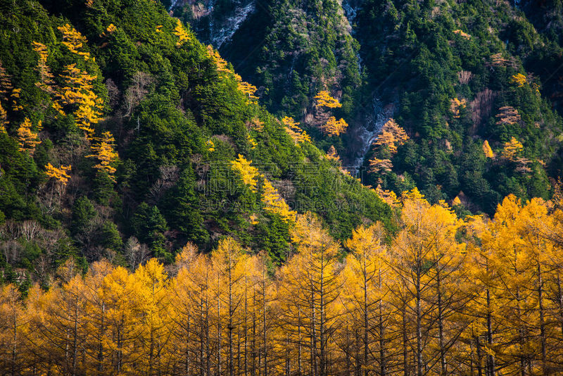 秋天,中部山岳国立公园,松本,飞驒山脉,长野县,天空,美,水平画幅,雪,旅行者