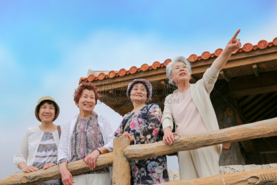 老年人,看,地形,公亩,度假胜地,水平画幅,夏天,户外,石垣岛,仅成年人