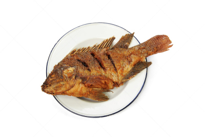 罗非鱼,鱼肉,盘子,水平画幅,膳食,海产,图像,特写,油炸,烹调