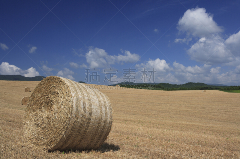 地形,富良野盆地,自然,天空,水平画幅,山,蓝色,日本,泥土,夏天