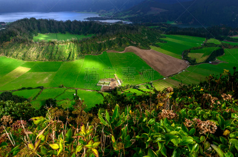 群岛,葡萄牙,圣米高岛,墓地,亚速尔群岛,水平画幅,秋天,无人,十字形,路