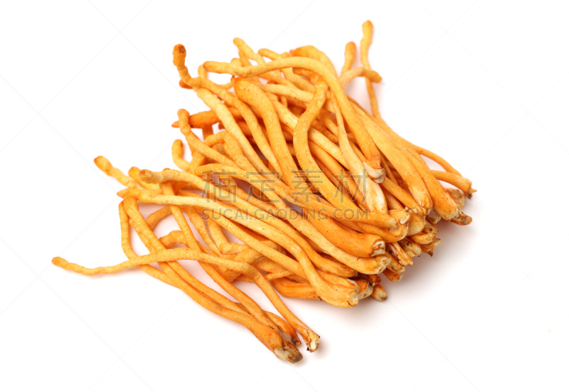 蘑菇,白色背景,分离着色,褐色,水平画幅,无人,篮子,冬虫夏草,鸡油菌,农作物